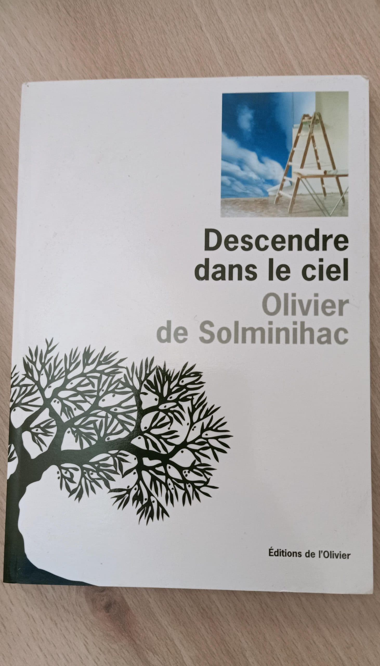 Descendre dans le ciel